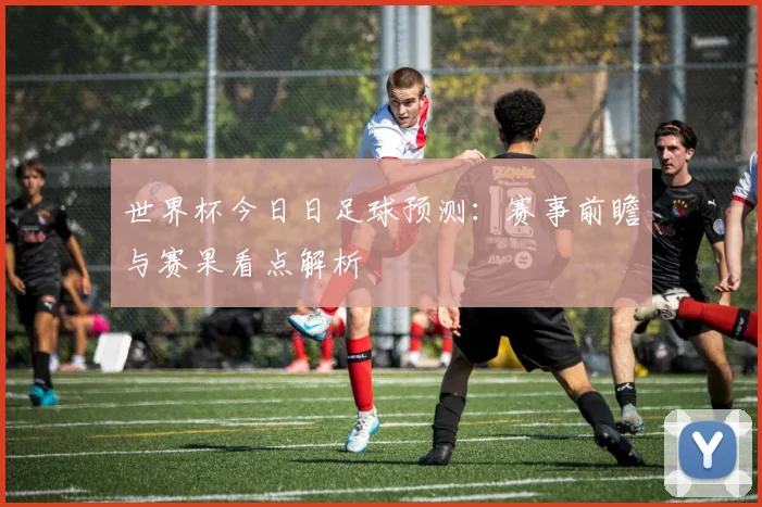 世界杯今日日足球预测:赛事前瞻与赛果看点解析