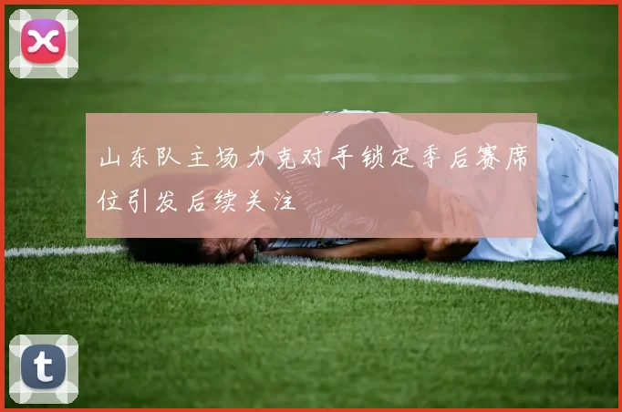 山东队主场力克对手锁定季后赛席位引发后续关注
