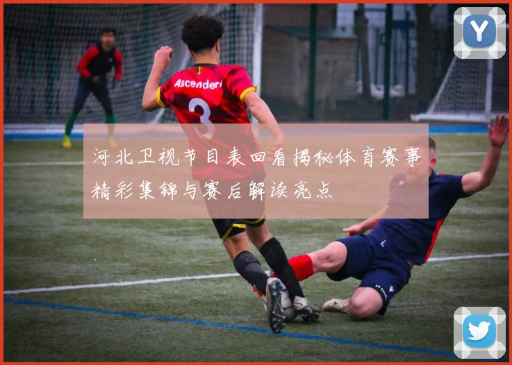 河北卫视节目表回看揭秘体育赛事精彩集锦与赛后解读亮点